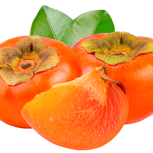 Хурма Инжирная