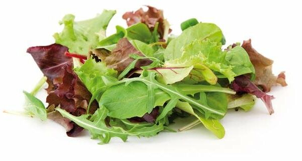 Салат листовой месклам