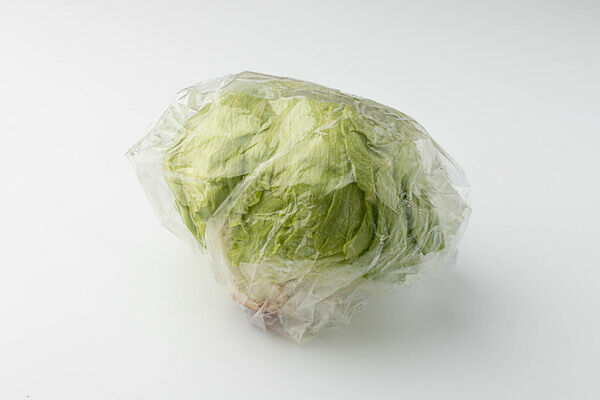 Салат Айсберг вес до 510 г