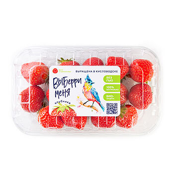 Клубника Вкус Ставрополья