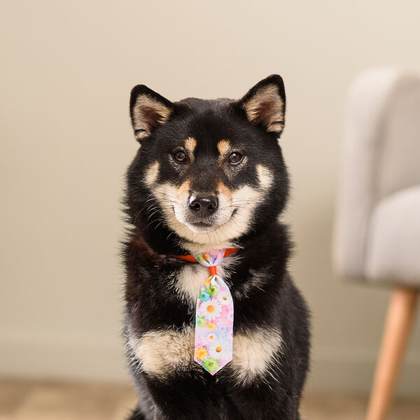 Галстук с цветочками для кошек и собак, 13,5х4 см, разноцветный