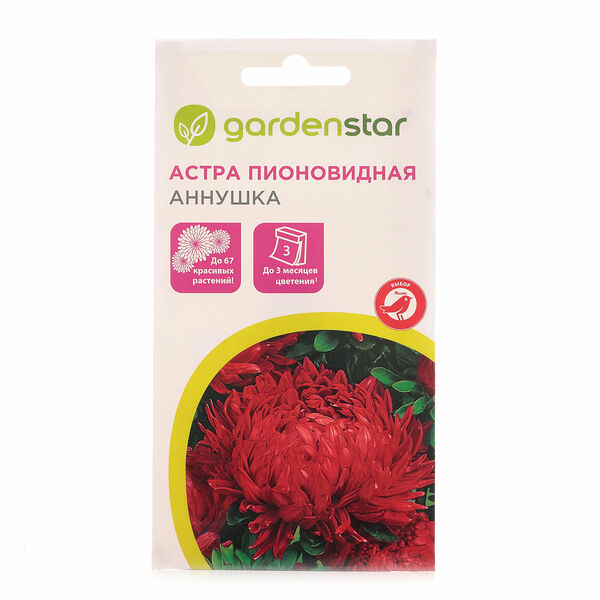 Астра пионовидная Аннушка ТМ Garden Star (Гарден Стар)