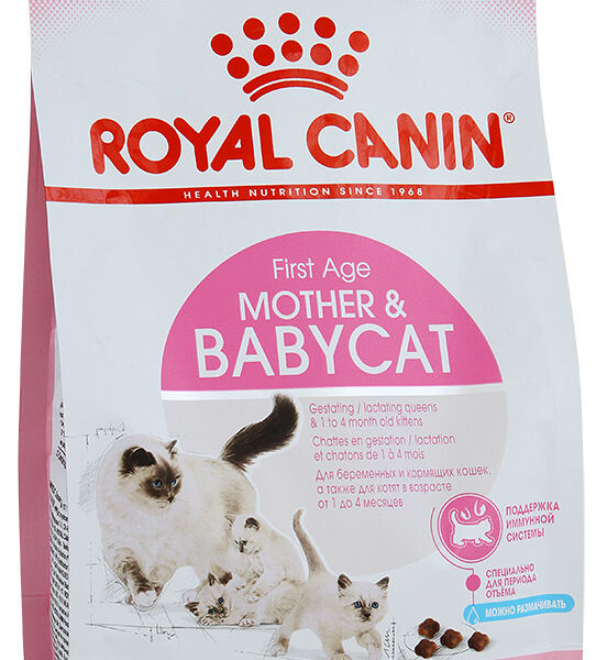 Корм сухой для котят Royal Canin Babycat от 1 до 4 месяцев