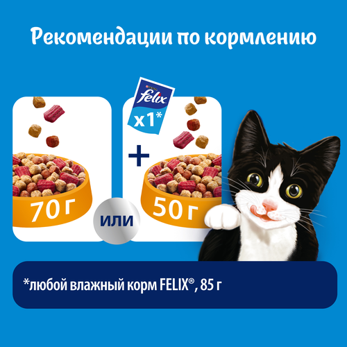 

Сухой корм для кошек Felix Двойная вкуснятина с птицей 300 г