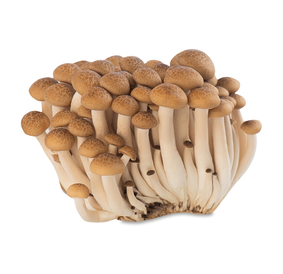 

Грибы Шимиджи голд 150 г Китай