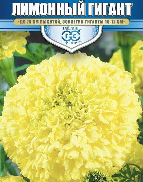 Семена бархатцы прямостоячие - лимонный гигант ТМ Гавриш
