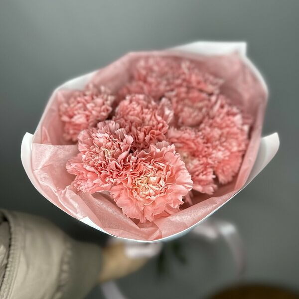 Текстурные диантусы