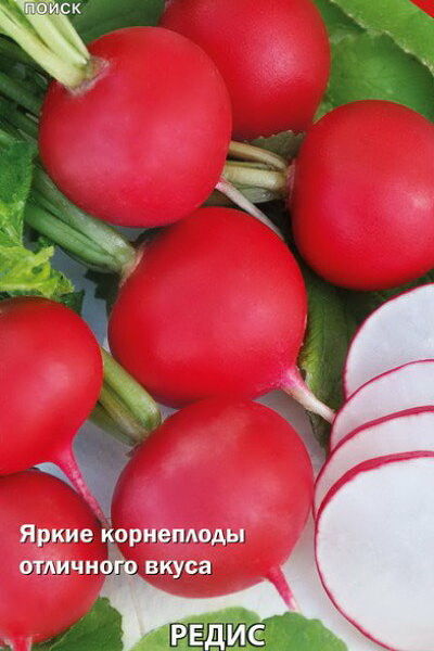 Семена Поиск редис - жар-птица 3 г