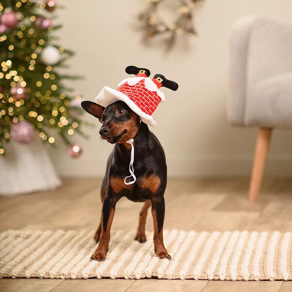 Колпак новогодний с ногами для собак, 22 см