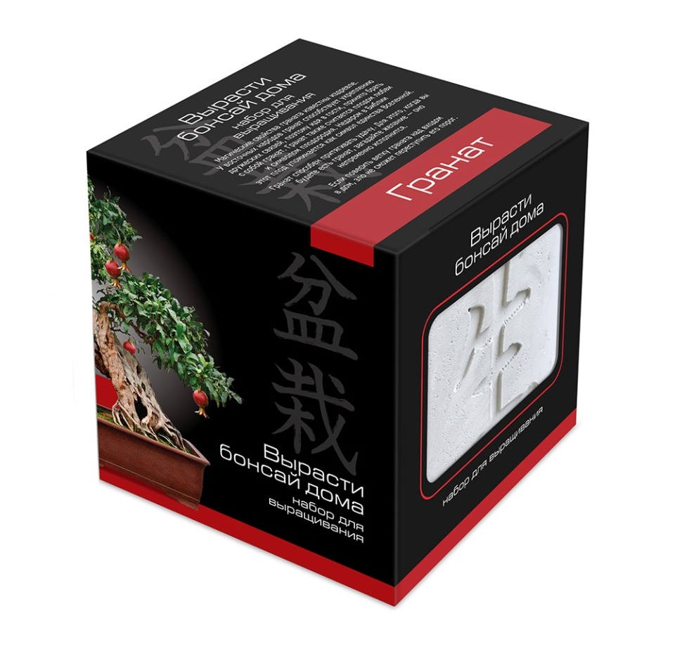 

Подарочный набор Вырасти Бонсай дома. Гранат В дизайнерском кубике ручной работы, Россия