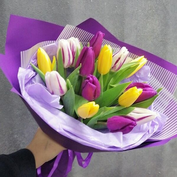 15 тюльпанов