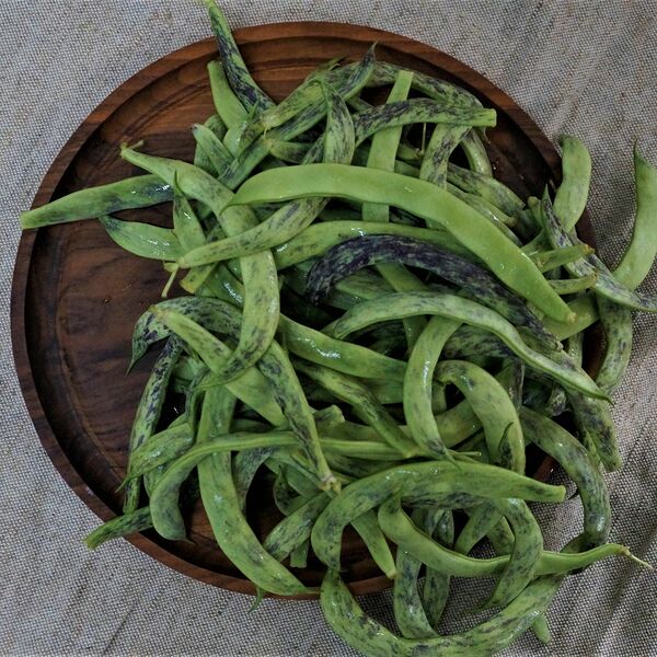 Фасоль пятнистая стручковая Грузия