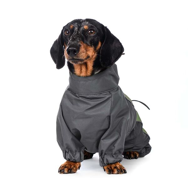 Комбинезон теплый для собак крупных пород Такса большая 47x38x56см 3XL зеленый (мальчик)