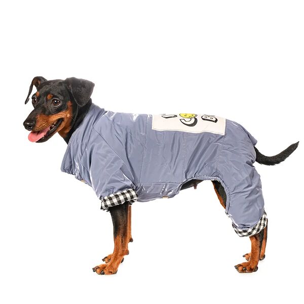 Комбинезон для собак I m cool boy 2XL серый (унисекс)