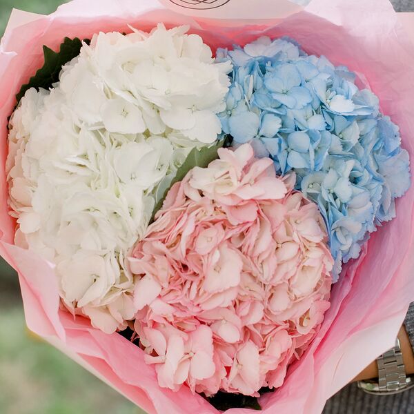 Букет из 3 гортензий нежный микс в розовой пленке