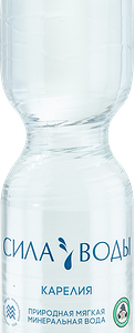 Вода минеральная природная СИЛА ВОДЫ Карелия негазированная 1.5 л
