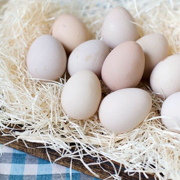 Яйца цесарки, 10 шт.