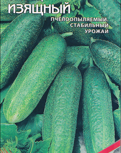 Семена MORAVOSEED Огурец Изящный