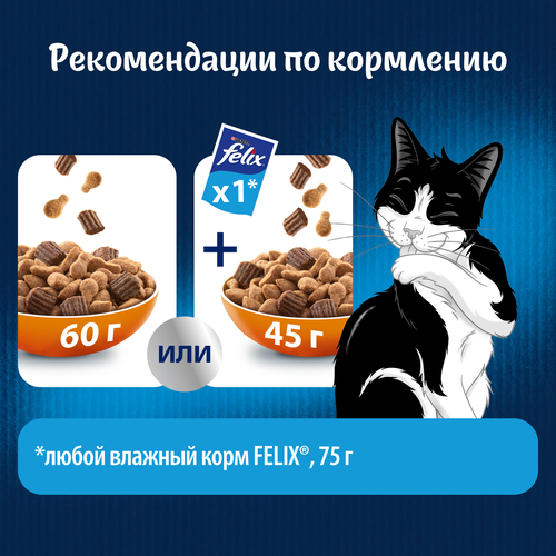 

Сухой корм Felix Двойная вкуснятина для взрослых кошек с птицей 600 г