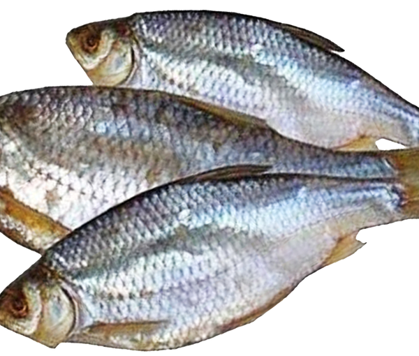 Плотва вяленая, вес дор 300г