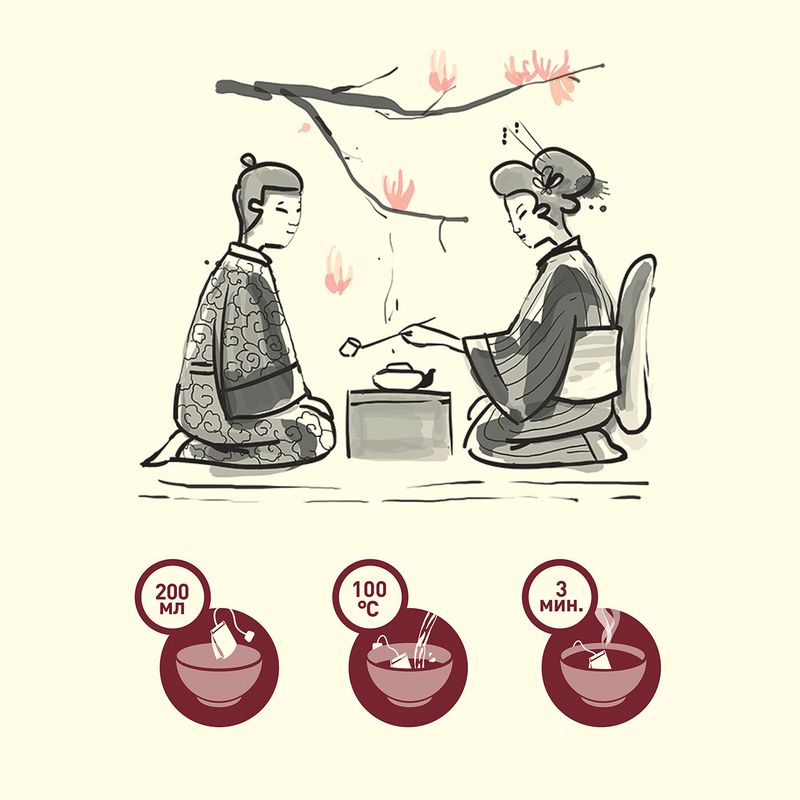 

Чай черный Saito Earl Grey Song с ароматом бергамота в пакетиках 25 шт 42.5 г