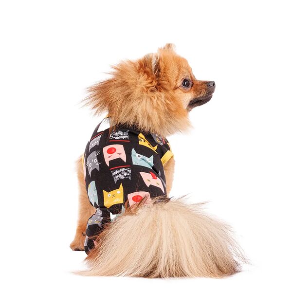 Костюм для собак XS черный (унисекс)