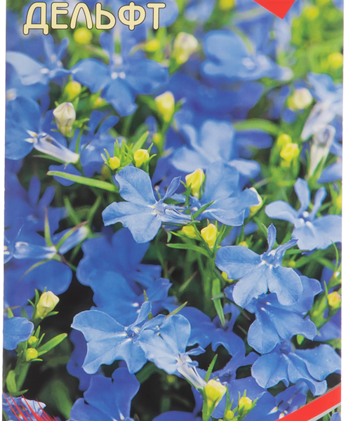 Семена ДОМ СЕМЯН Лобелия Дельфт 