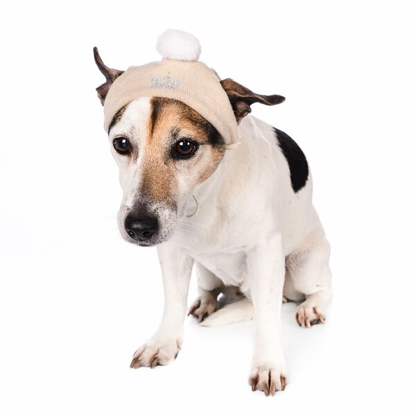 Шапочка зимняя универсальная для собак S бежевый (унисекс)