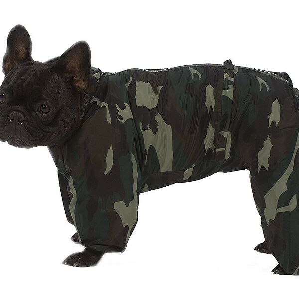 Комбинезон холодный для собак Ши-тцу L камуфляж (мальчик)