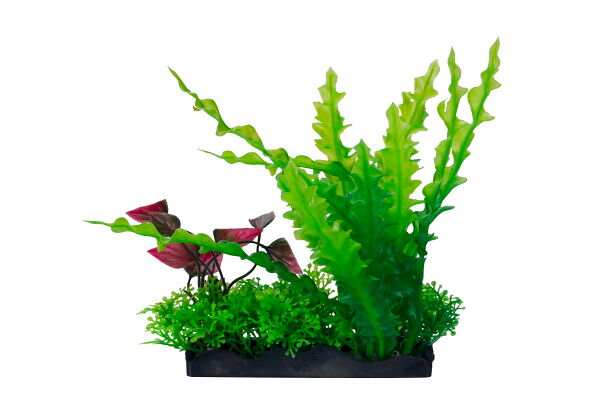 Растение для аквариума Homefish Асплениум и людвигия пластиковое с грузом, 17 см