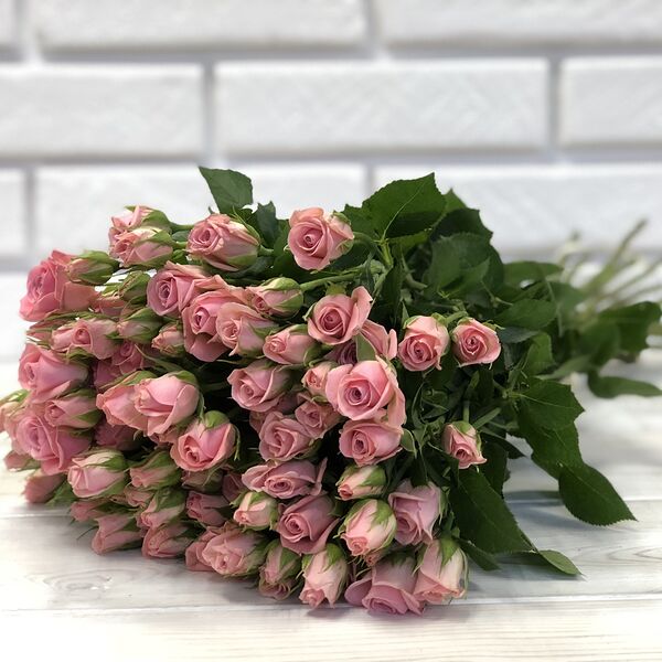 Роза кустовая нежно-розовая