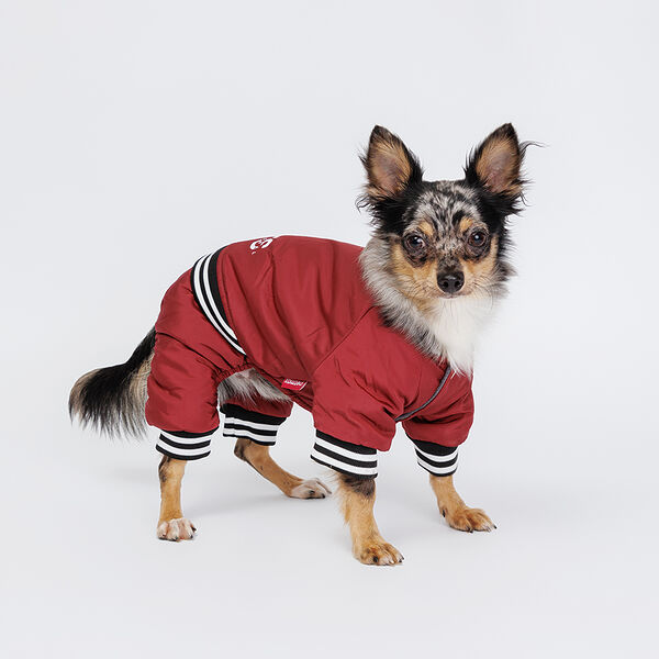 Комбинезон для собак Комикс, S, кофейный