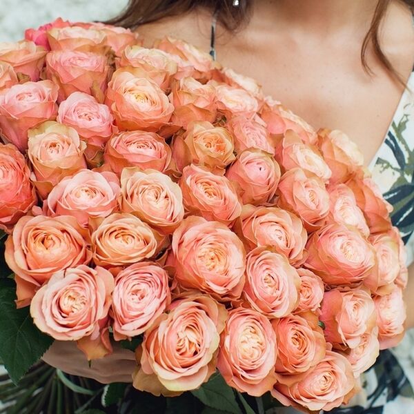 Роза сорта Кахала 70 см