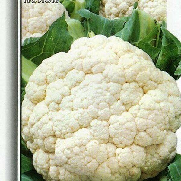 Семена Капуста Цветная гарантия ТМ Поиск