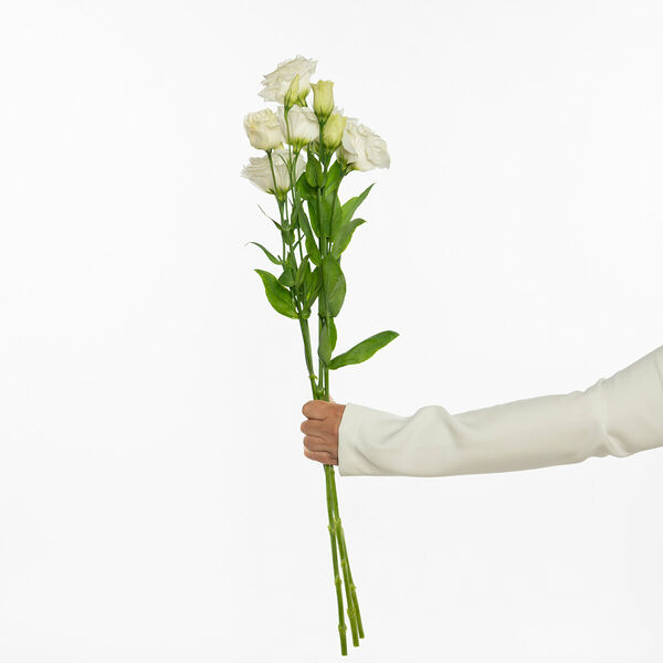 3 белые эустомы