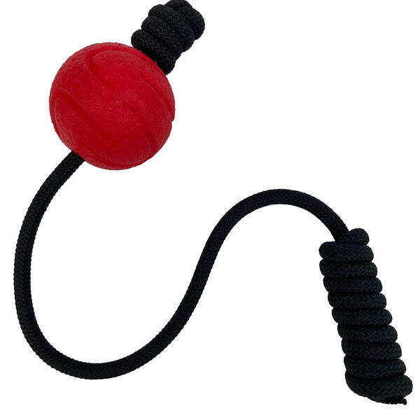 Игрушка для собак Mr.Kranch мяч на шнуре 6 см, красный