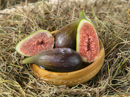 Инжир Армения