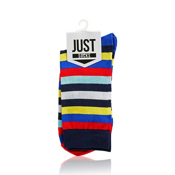 Мужские носки Just Socks С-1376, р.27-29