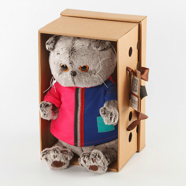 Кот Басик в двухцветной футболке