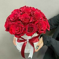 Изображение 4