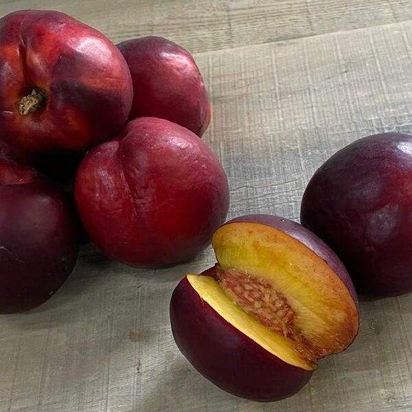 Нектарины (Danilovskymarket)