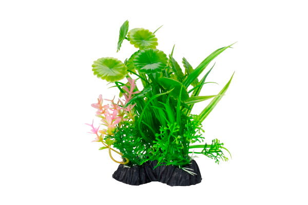 HOMEFISH Платицериум растение для аквариума пластиковое с грузом 12см