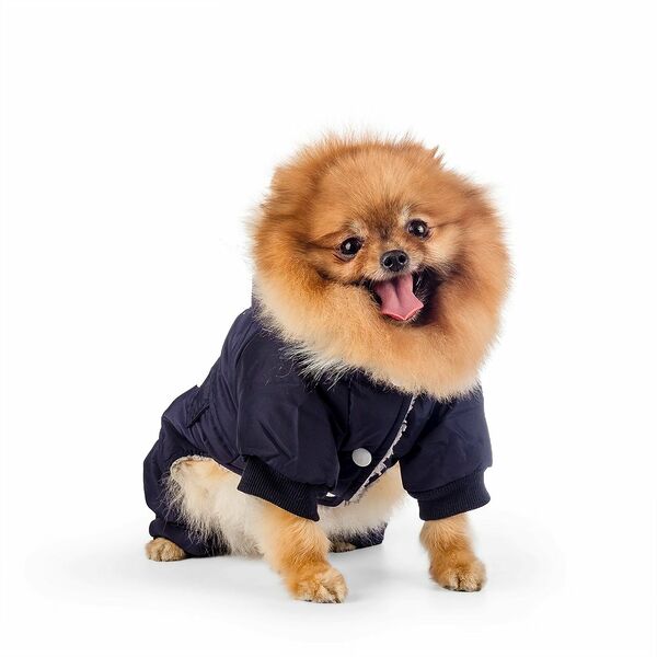 Комбинезон для собак SportDog XS синий (унисекс)