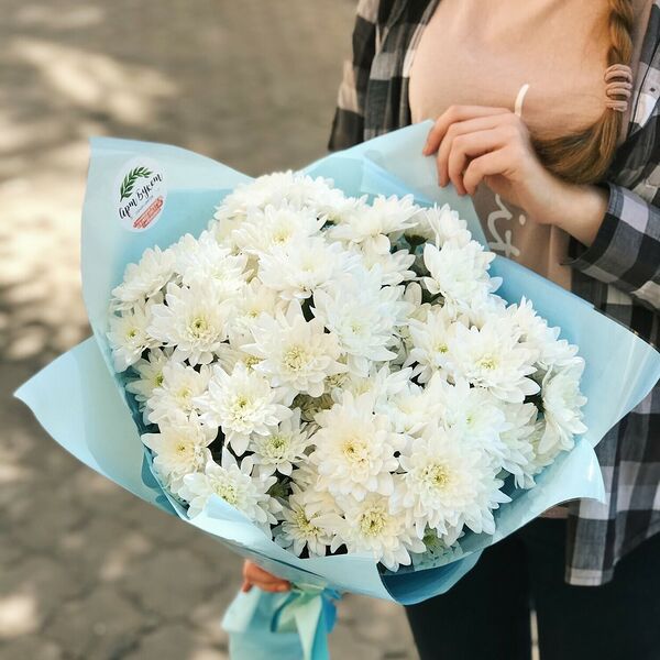 7 кустовых хризантем