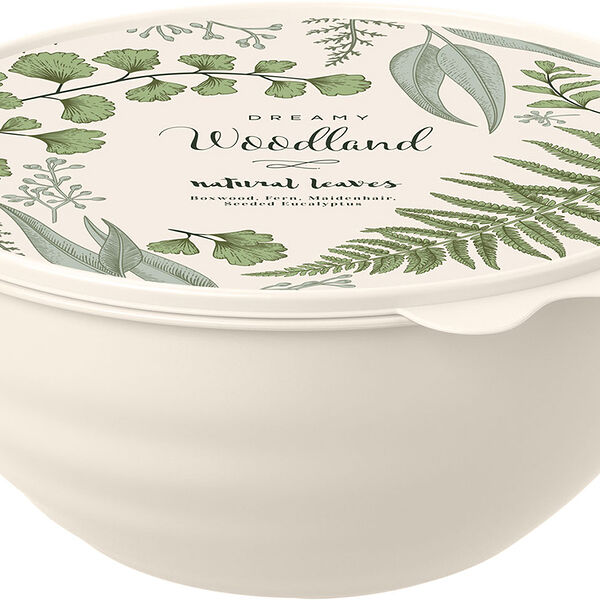 Миска Бытпласт с декоративной крышкой 1.55 л, в ассортименте