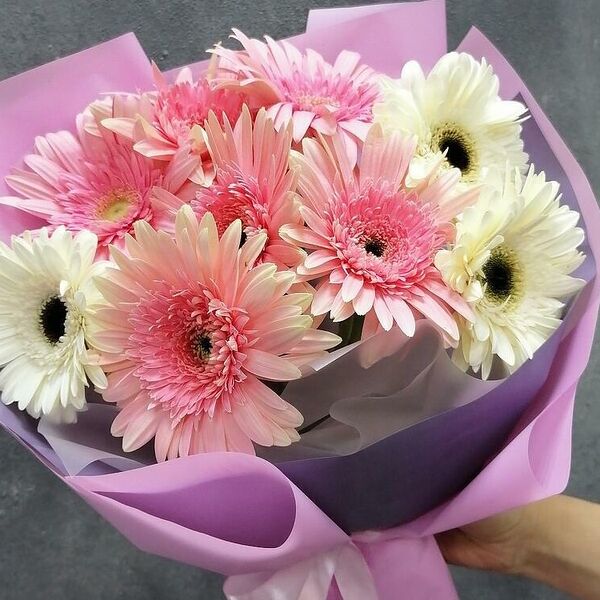 Gerbera garden (монобукет из гербер)