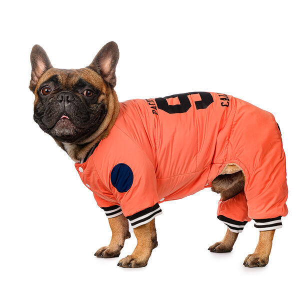 Комбинезон для собак S персиковый (девочка)