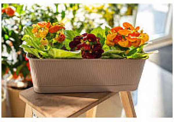 Ящик балконный Прованс фраппе, 38х17х13 см