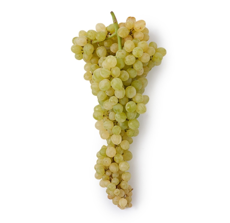 

Виноград Кристалл без косточки