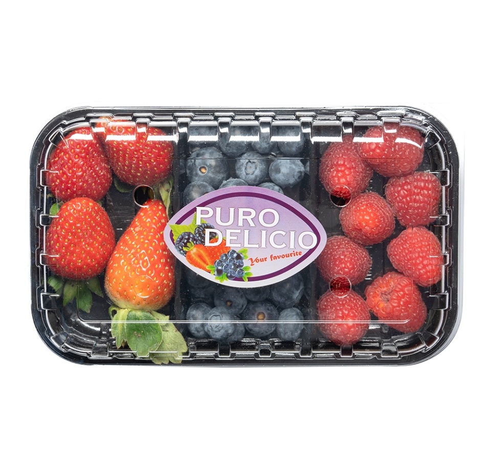 

Ягодный микс PURO DELICIO (голубика,клубника, малина) 300 г